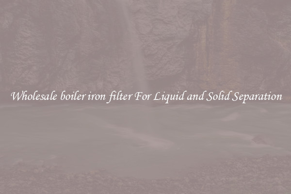 Wholesale boiler iron filter For Liquid and Solid Separation