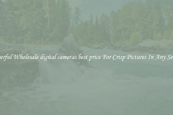 Powerful Wholesale digital cameras best price For Crisp Pictures In Any Setting