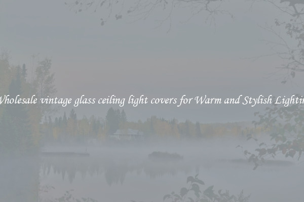 Wholesale vintage glass ceiling light covers for Warm and Stylish Lighting