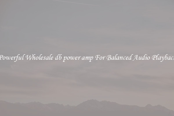 Powerful Wholesale db power amp For Balanced Audio Playback