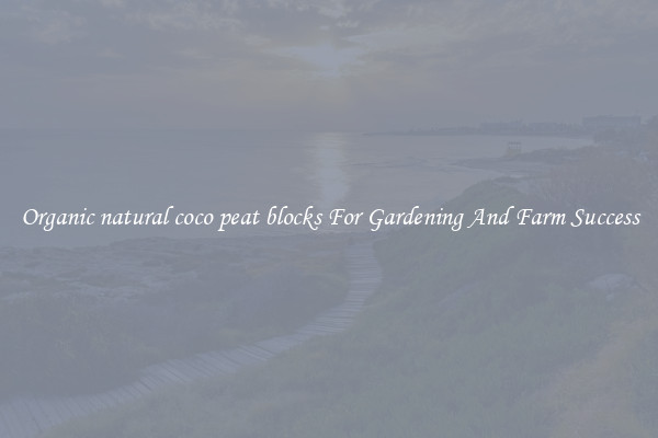 Organic natural coco peat blocks For Gardening And Farm Success