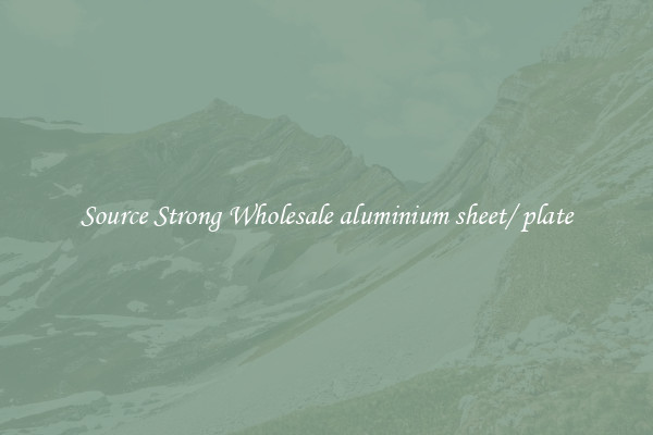 Source Strong Wholesale aluminium sheet/ plate