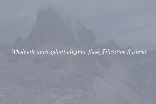 Wholesale antioxidant alkaline flask Filtration Systems