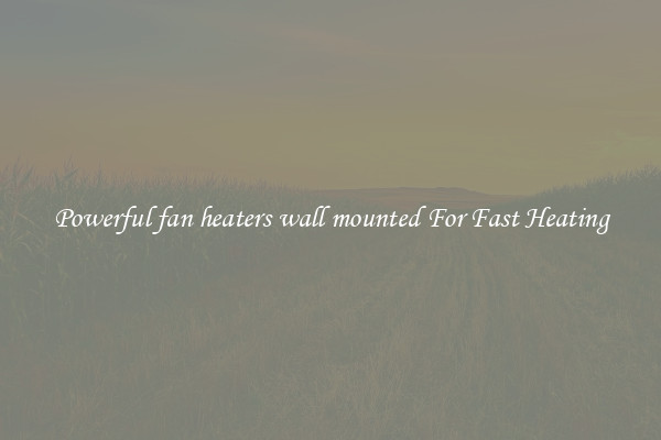 Powerful fan heaters wall mounted For Fast Heating