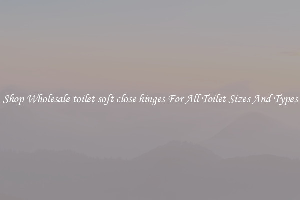 Shop Wholesale toilet soft close hinges For All Toilet Sizes And Types