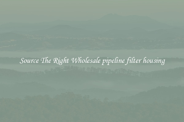 Source The Right Wholesale pipeline filter housing