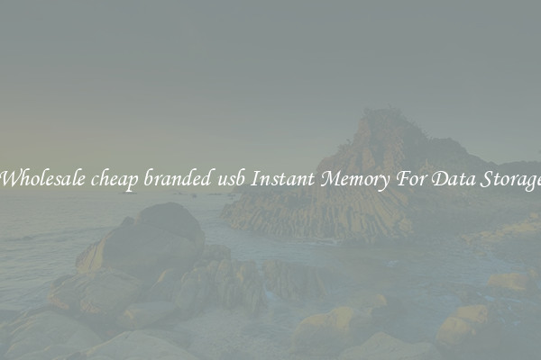 Wholesale cheap branded usb Instant Memory For Data Storage