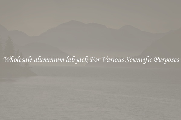 Wholesale aluminium lab jack For Various Scientific Purposes