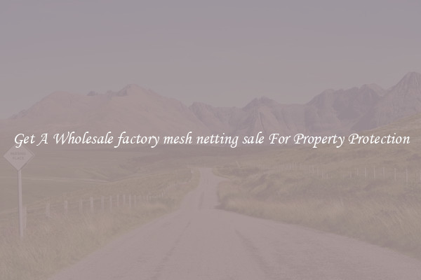 Get A Wholesale factory mesh netting sale For Property Protection