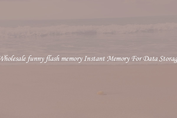 Wholesale funny flash memory Instant Memory For Data Storage