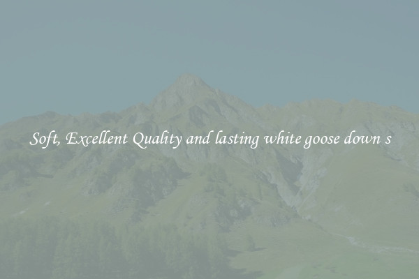 Soft, Excellent Quality and lasting white goose down s