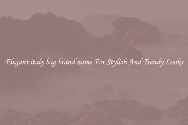 Elegant italy bag brand name For Stylish And Trendy Looks